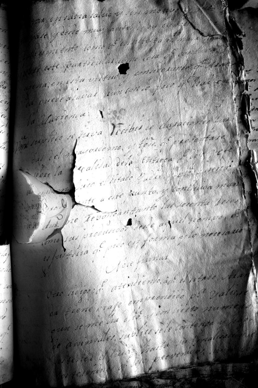 Fotografía de la lámina IMG_1457