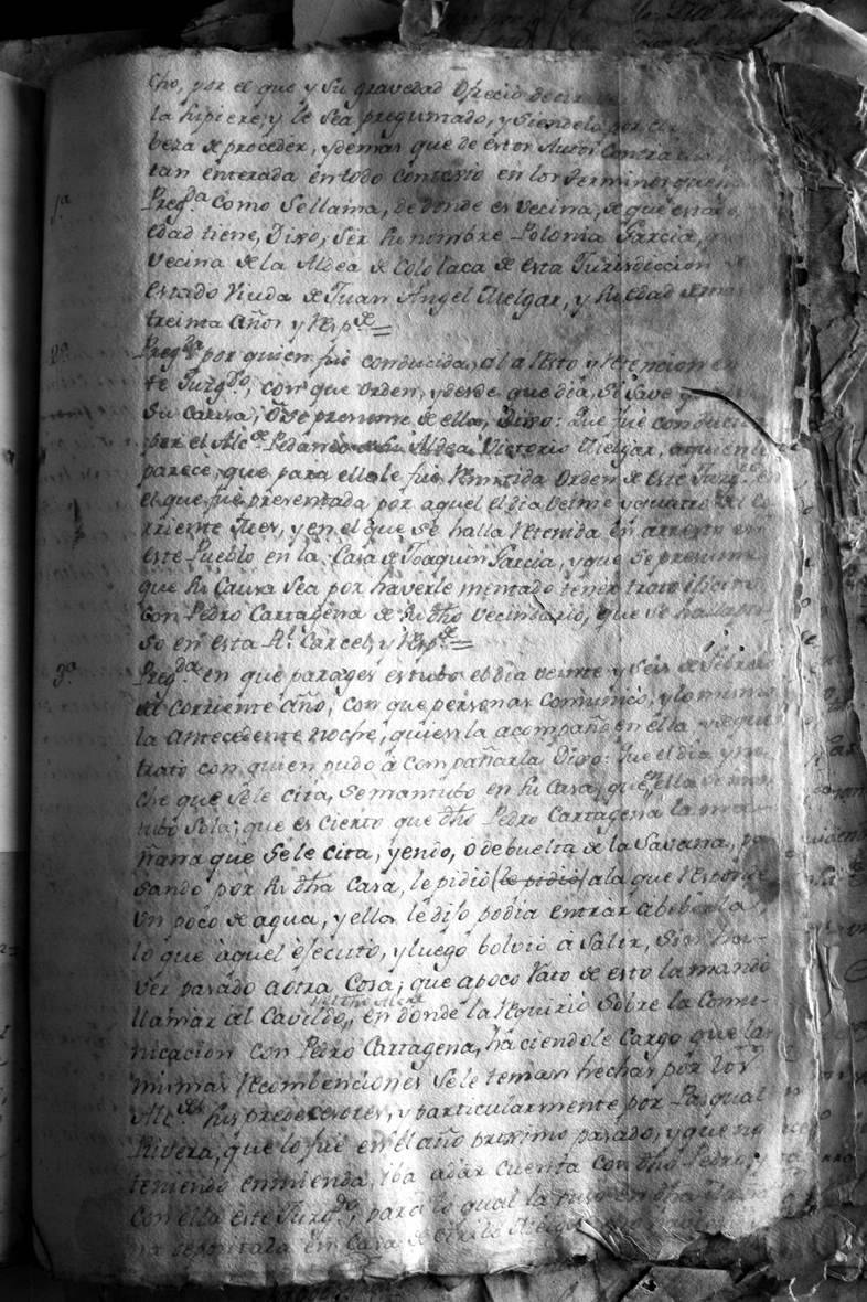 Fotografía de la lámina IMG_1518