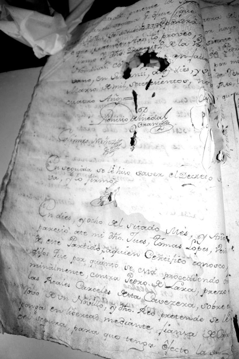 Fotografía de la lámina IMG_1389