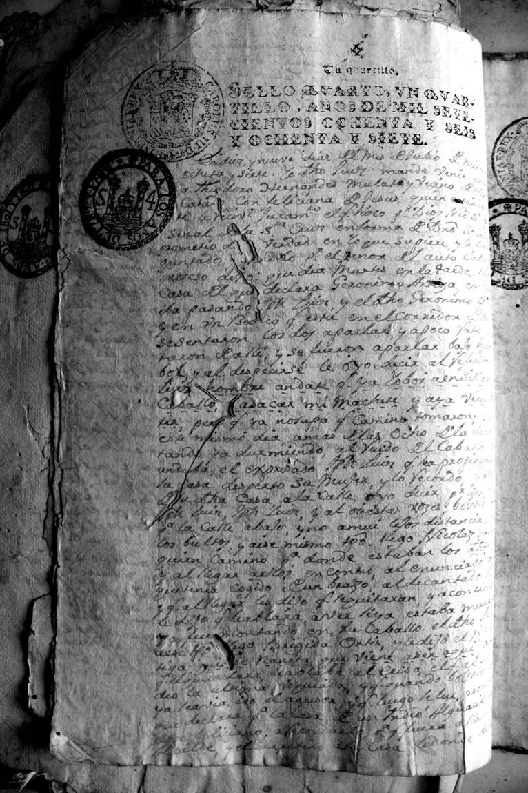 Fotografía de la lámina IMG_1711