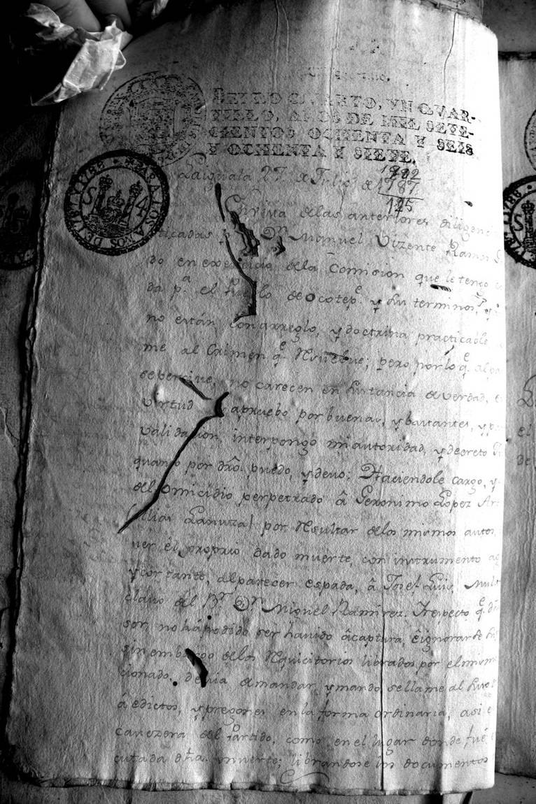 Fotografía de la lámina IMG_1715
