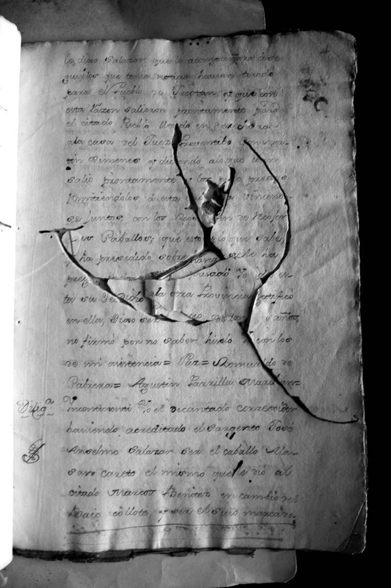 Fotografía de la lámina IMG_1724