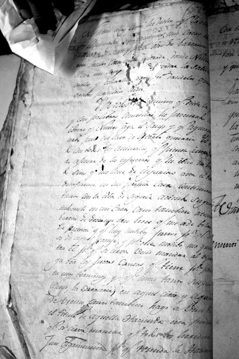 Fotografía de la lámina IMG_1407